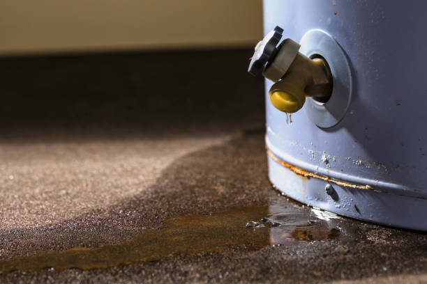 Best Residential water damage restoration  in Cascade Locks, OR