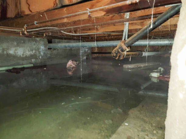 Best Emergency water extraction  in Cascade Locks, OR