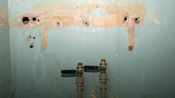 Best Ceiling water damage repair  in Cascade Locks, OR
