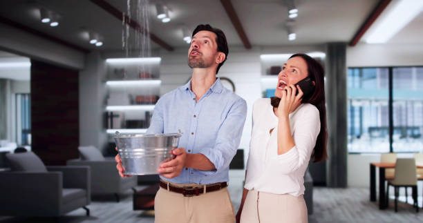 Best Water damage restoration company  in Cascade Locks, OR